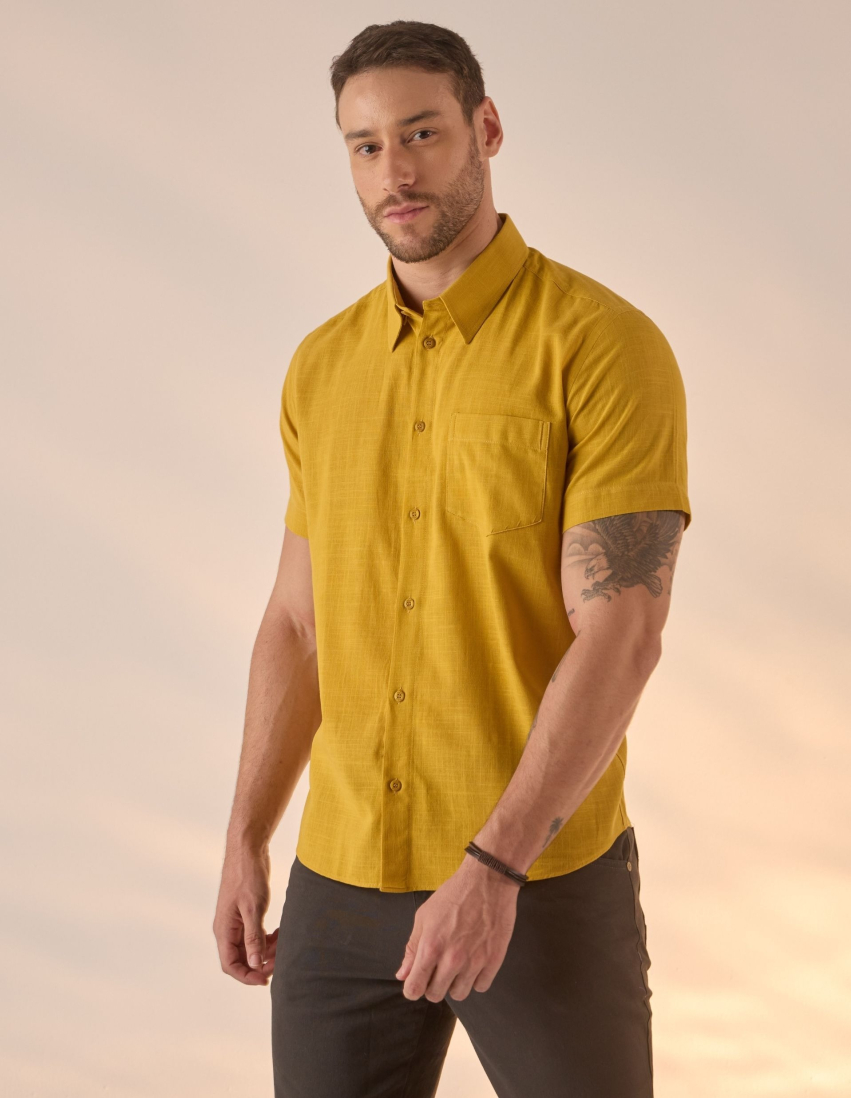 6602535825_6_mostarda11zon